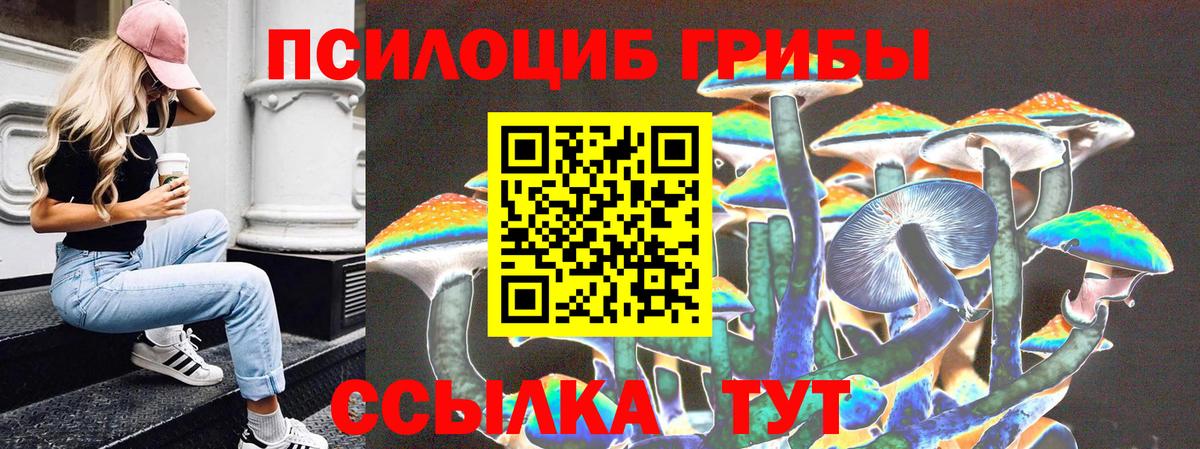 Борзя  Галлюциногенные грибы мухоморы  Псилоцибиновые грибы GOLDEN TEACHER  Вход с VPN 