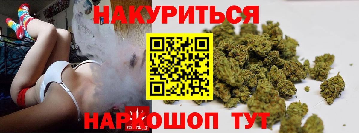 Конопля гибрид Борзя